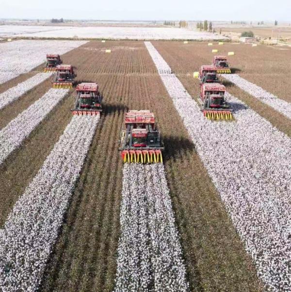 中西文化的融合，中国西北部的旅游发展，产业化升级迫不及待